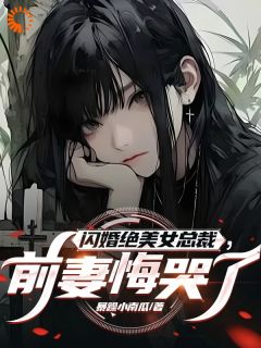 闪婚绝美女总裁,前妻悔哭了