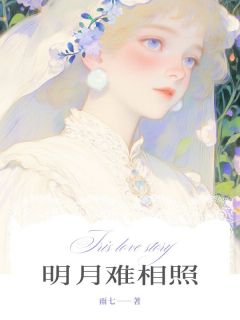 明月难相照陆照华鄢明月by雨七完整在线阅读