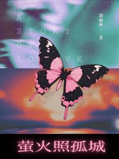 《萤火照孤城》洛云晚赵容川章节目录在线阅读