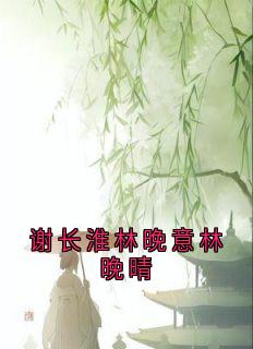 谢长淮林晚意林晚晴