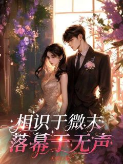 相识于微末,落幕于无声 林浅陆宴小说全文章节免费试读