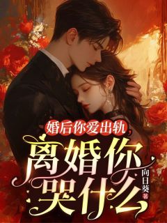 婚后你爱出轨 ,离婚你哭什么沈安安傅南衍by向日葵在线阅读