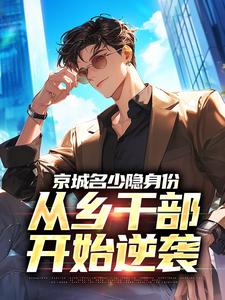 京城名少隐身份，从乡干部开始逆袭