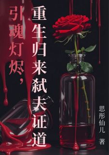 《引魂灯烬，重生归来弑夫证道》小说在线阅读 《引魂灯烬，重生归来弑夫证道》最新章节目录