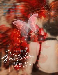 《我不知会遇见你》小说全文精彩阅读 《我不知会遇见你》最新章节目录