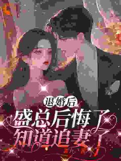 夏暖听盛越by舞九 退婚后，盛总后悔了，知道追妻了在线阅读全文