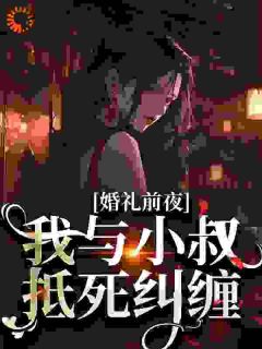 婚礼前夜,我与小叔抵死纠缠花放傅砚沉结局完整全文