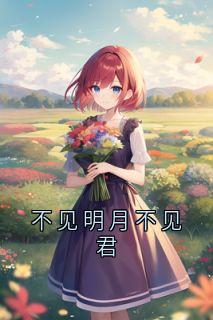 不见明月不见君