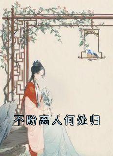 《不盼离人何处归》免费阅读 魏云汐贺淮序小说免费试读