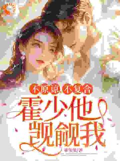 不原谅,不复合,霍少他觊觎我