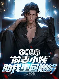 方城秦婉 全网黑后,前妻小姨助我重回巅峰完结版在线阅读
