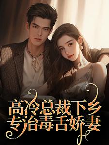 《高冷总裁下乡，专治毒舌娇妻》宁明儿陈深章节列表免费试读