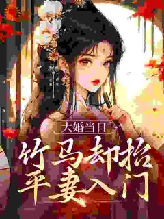 大婚当日，竹马却抬平妻入门