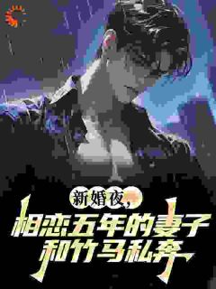 《新婚夜,相恋五年的妻子和竹马私奔》小说全文精彩试读 《新婚夜,相恋五年的妻子和竹马私奔》最新章节目录