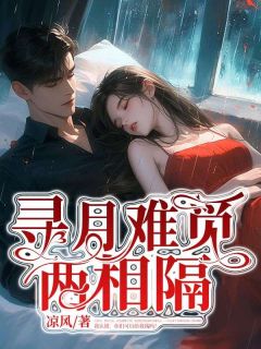 [寻月难觅两相隔付寻月陆昭钰小说全文章节目录在线阅读
