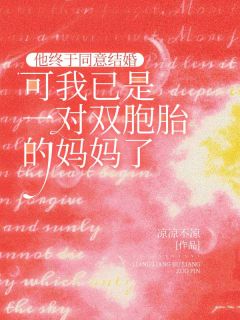 《他终于同意结婚,可我已是一对双胞胎的妈妈了》小说章节目录免费阅读 许妍罗志成小说阅读