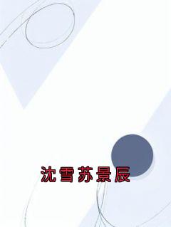沈雪苏景辰