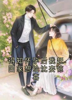 得知怀孕后我赶回家想给沈妄惊喜