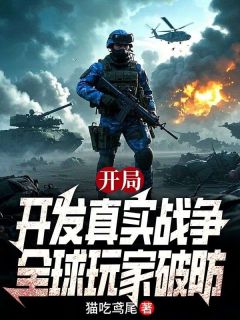 开局开发真实战争，全球玩家破防