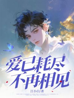 爱已耗尽，不再相见顾若宇盛雪小说结局完整全文