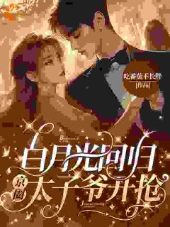 《白月光回归,京圈太子爷开抢》小说章节目录在线阅读 陆妄辞虞晚颜小说全文