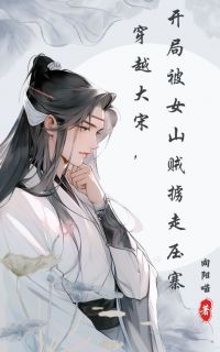 穿越大宋,开局被女山贼掳走压寨