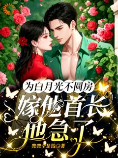 《为白月光不圆房，嫁他首长他急了》纪颜靳妄章节目录精彩阅读