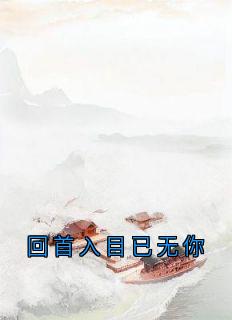 回首入目已无你