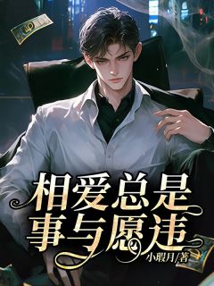 《相爱总是事与愿违》陆南明瑶章节目录精彩阅读