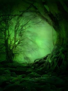 五一假期，弟弟要去哀牢山探险