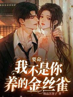 要命，我不是你们养的金丝雀白冉冉傅淮洲阅读_要命，我不是你们养的金丝雀文本在线阅读