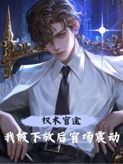 权术官途：我被下放后官场震动