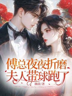 《傅总夜夜折磨,夫人带球跑了》小说大结局精彩阅读 沈楠夕傅衍慈小说全文