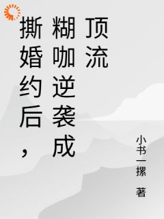 十八线糊咖离婚逆袭,大佬忙追妻