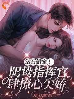 钻石婚宠!阴鸷指挥官肆撩心尖娇