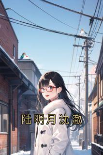 陆明月沈澈