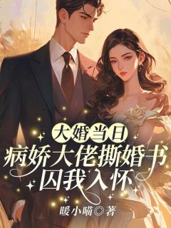 大婚当日,病娇大佬撕婚书囚我入怀