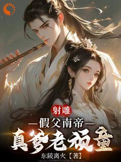 《射雕：假父南帝真爹老顽童》小说完结版在线试读 段星炎刘贵妃小说全文