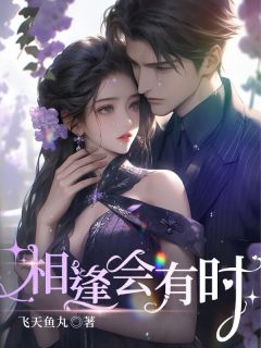 完整版《相逢会有时》秦沐姿秦越西全文免费阅读