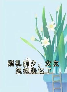 《婚礼前夕，女友忽然失忆了》免费阅读 顾凌旭苏禾岁小说免费试读