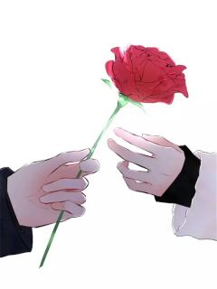 重回八零,假离婚成真后他慌了沈知夏程砚阅读_重回八零,假离婚成真后他慌了文本在线阅读