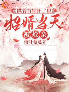 瞒着首辅怀了崽,招婿当天被抢亲