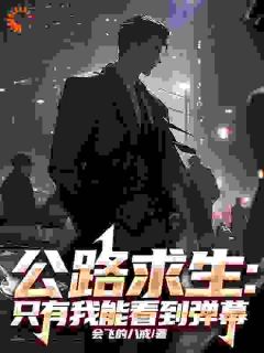 公路求生:只有我能看到弹幕