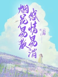 《烟花易散,感情易消》小说全文免费阅读 陆景淮林晚照沈奕霄小说全文