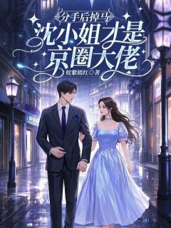 分手后掉马，沈小姐才是京圈大佬