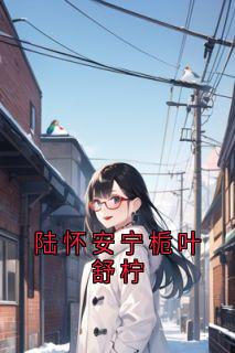 陆怀安宁栀叶舒柠