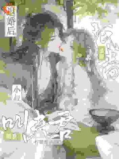 不当话本人物，主母和离惹上权臣宋意绵姜应珩by柠檬松子在线阅读