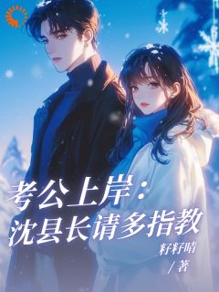 安岁岁沈延舟小说阅读 安岁岁沈延舟小说考公上岸:沈县长请多指教!