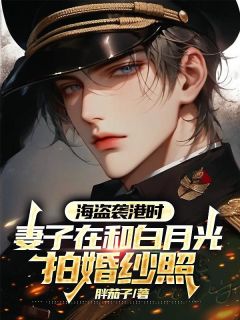 海盗袭港时,妻子在和白月光拍婚纱照陈子穆傅清岚全部章节目录