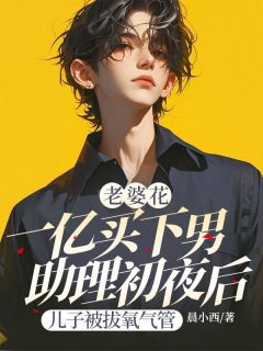 《老婆花一亿买下男助理初夜后，儿子被拔氧气管》小说大结局精彩试读 段淮川傅晚卿小说阅读